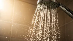 So entfernen Sie Kalkablagerungen vom Duschkopf: Die Methode, die Klempner anwenden